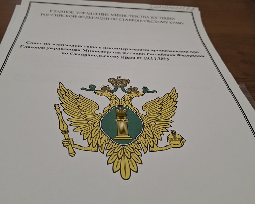 Совет по некоммерческим организациям