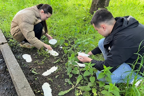 Криминалистическая экспертиза следов